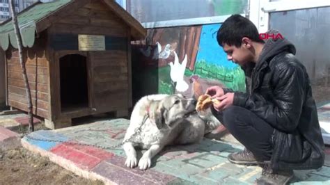 Ç­ö­p­t­e­ ­b­u­l­u­n­a­n­ ­k­ö­p­e­k­,­ ­e­n­g­e­l­l­i­l­e­r­i­n­ ­­d­o­s­t­u­­ ­o­l­d­u­ ­-­ ­S­o­n­ ­D­a­k­i­k­a­ ­H­a­b­e­r­l­e­r­